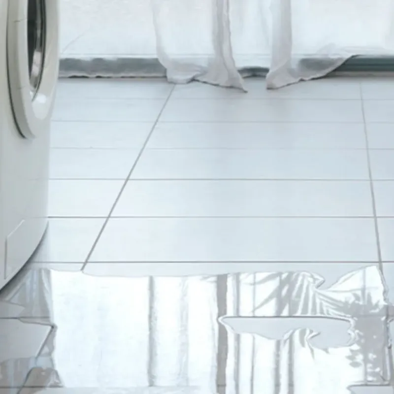 Appliance Leak Cleanup in Ector County, TX