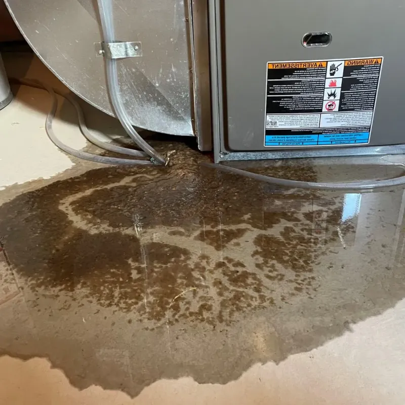 Pipe Burst and Leak Restoration in Ector County, TX