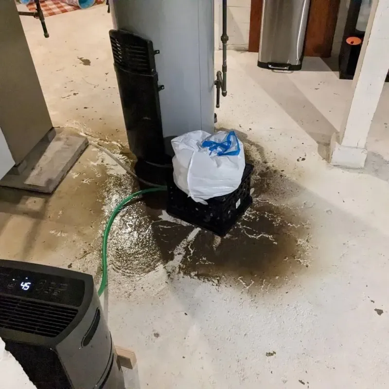 Sewage Backup Cleanup Service in Ector County, TX
